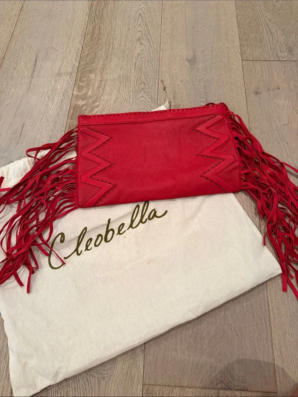 Red Fringe Leather Clutch